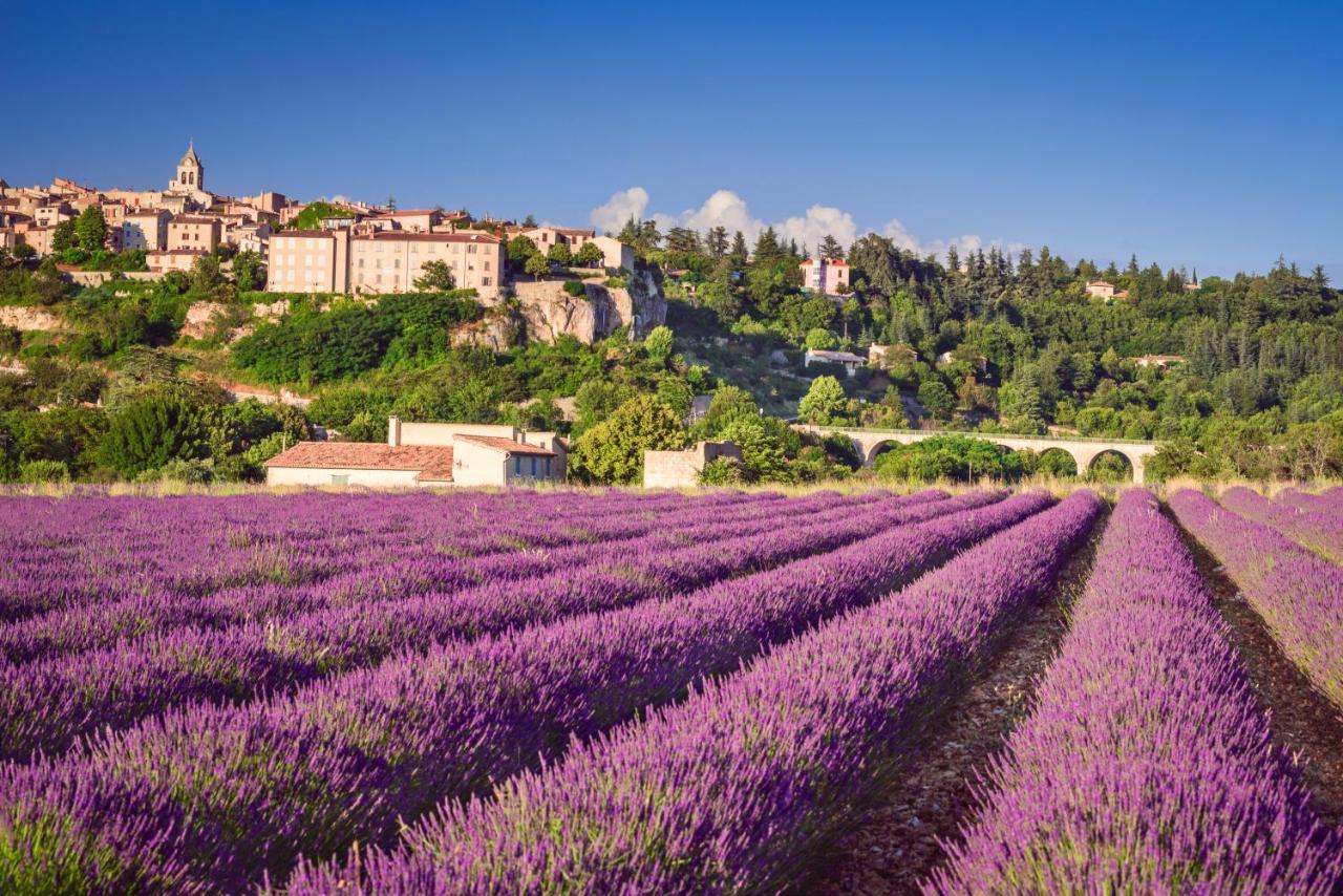 Апартаменты Provence Now Кабриер-д'Авиньон Экстерьер фото