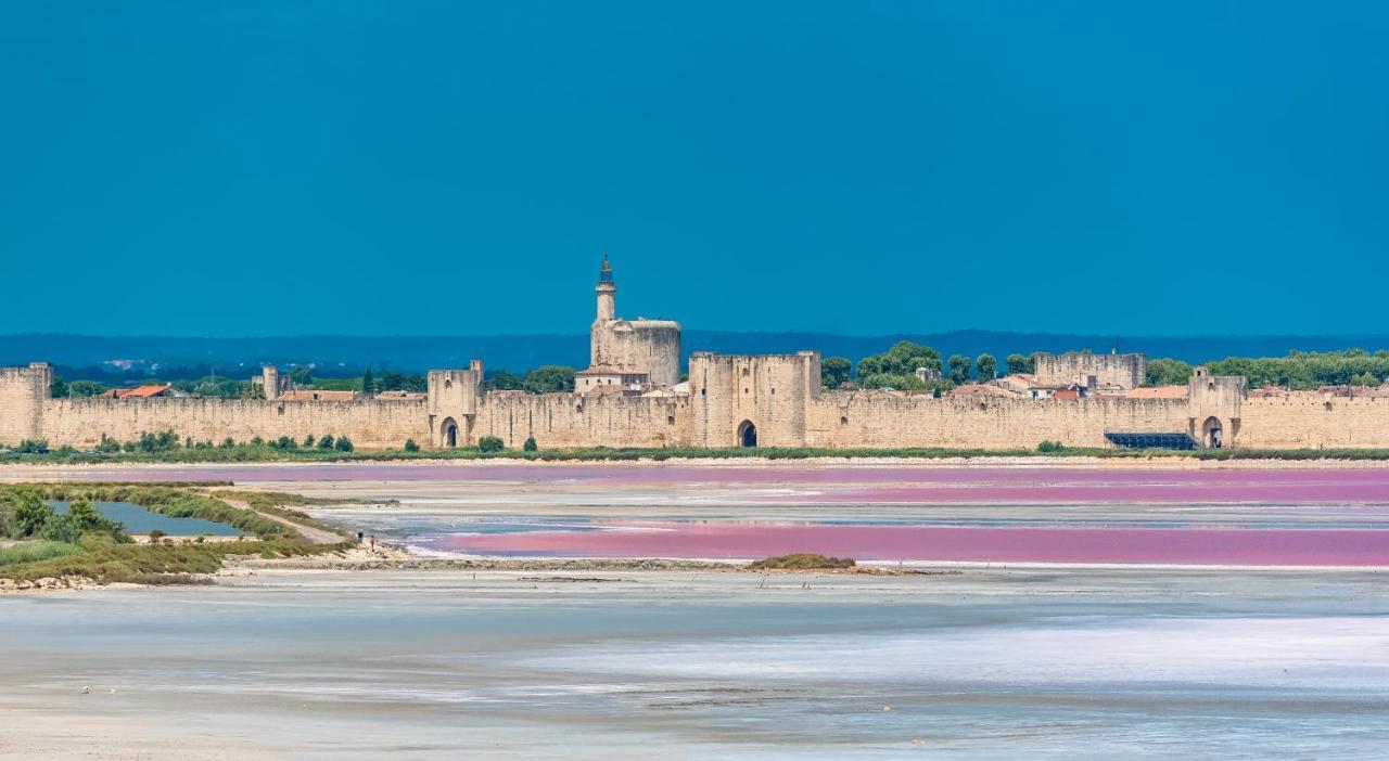 Апартаменты Provence Now Кабриер-д'Авиньон Экстерьер фото