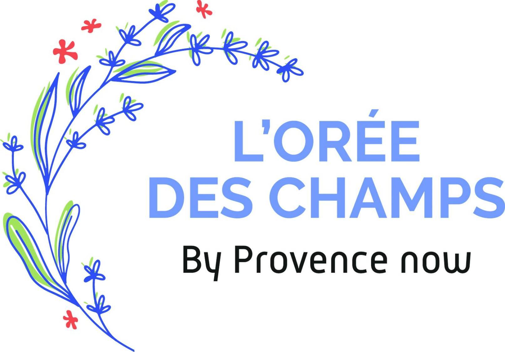 Апартаменты Provence Now Кабриер-д'Авиньон Экстерьер фото